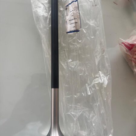 Inlet Valve OEM 147673-11100