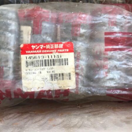 Spring Valve 145610-11131