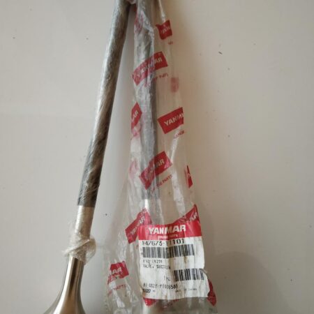 Inlet Valve 147673-11100